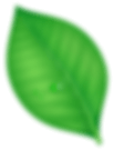 Image Not Found